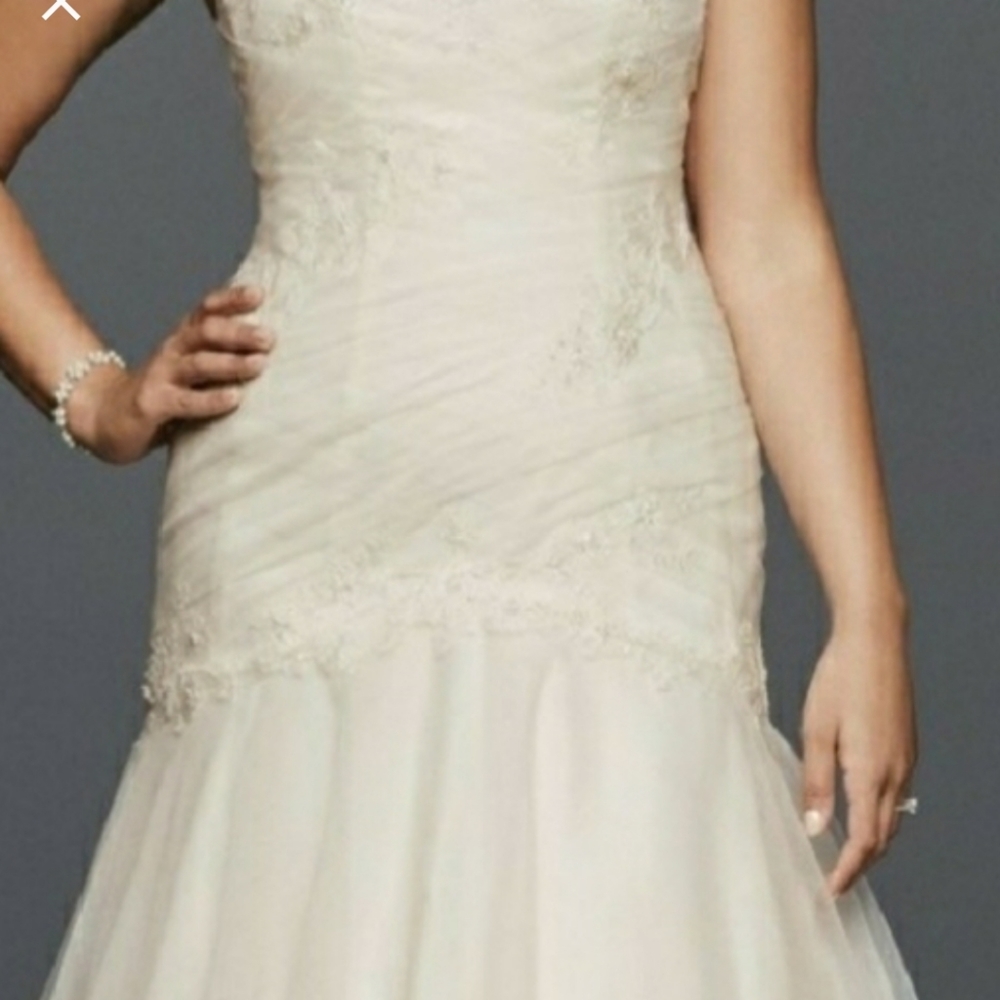 Gorgeous ivory wedding dress nwt
